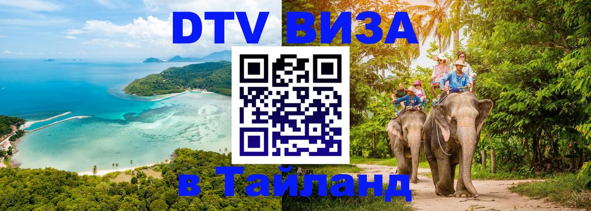 Оформление DTV визы под ключ: стоимость и тарифы, только загранпаспорт - Новочебоксарск  05.10.2025 